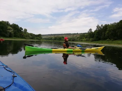 MistyBarnes nature 사진