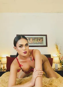 PlayfullBella come on my bed Εικόνα