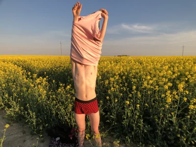 gunter_meiner Flower undress  4টি ছবি