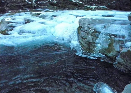 nature de Bigneil222 Foto