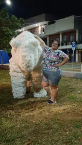 CAMILA_BBW Public  4টি ছবি
