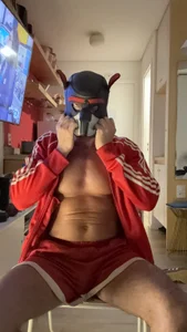 Public od Reginaldothedog  snímek