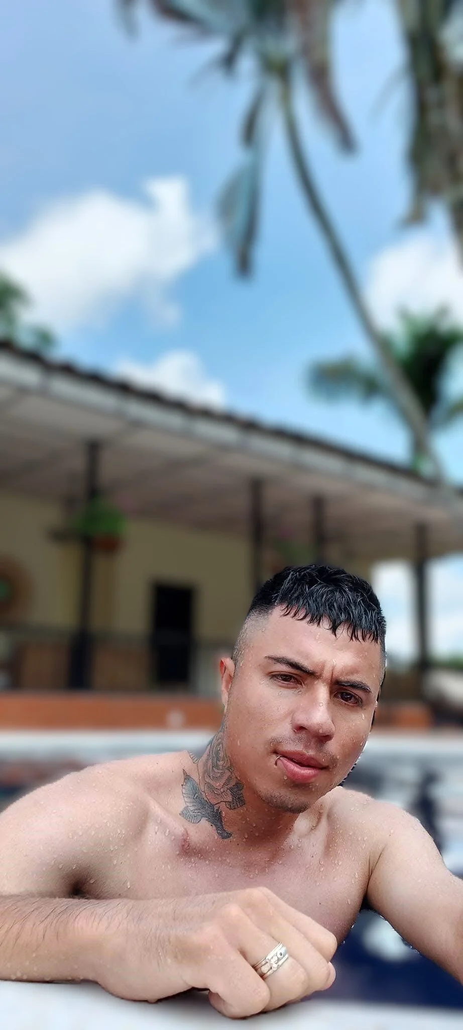 Charlie_Foxie Populära bilder 3908