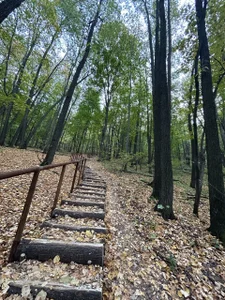 MistyBarnes mmm Pic 6