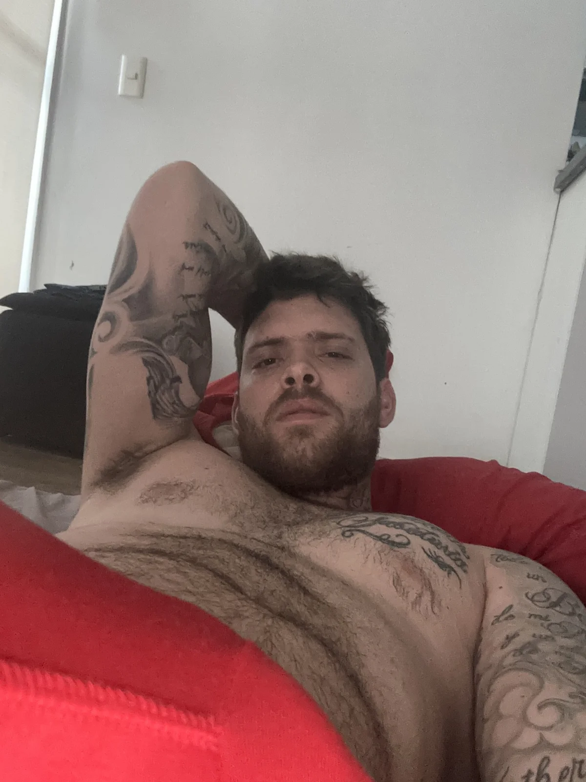 arnold_bekam immagine di tendenza 6373