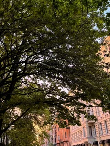 warm autumn vibes🍂 de bambi_lu Foto 9