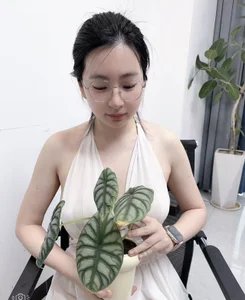 Erya-369 Public Pic