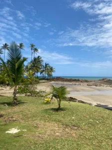 Public od myamillor  6 snímek