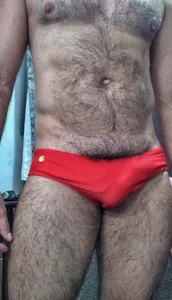 PeludoCapixaba As Minhas Fotos Foto 5