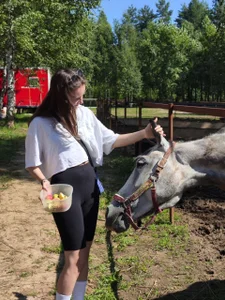 DolcezzaCream It's a special feeling when you pet a horse 🥰 Billede 5