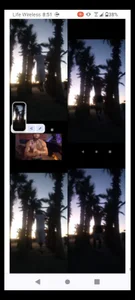 bigraski1976 Mr Fitness 2024,4th Place  6. fénykép