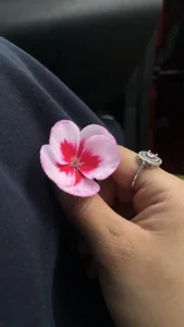 alyy_x _ Foto