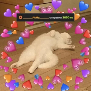 MaryNixon_ My KINGS 👑 Pic 6