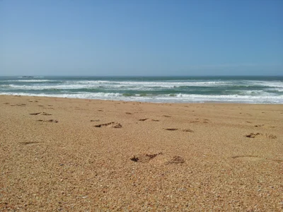 daddyschuppa: plage ( фото)