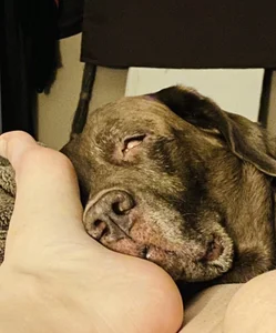 EyaDivine1 Public صورة واحدة|EyaDivine1 Public صورتان|EyaDivine1 Public  3 صور|EyaDivine1 Public  3 صورة