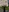 CwenClowes's photo