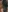 Lu_tic's photo