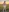 Elza_kom's photo