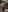 IssaandNeron_sex's photo
