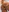 kissedy's photo