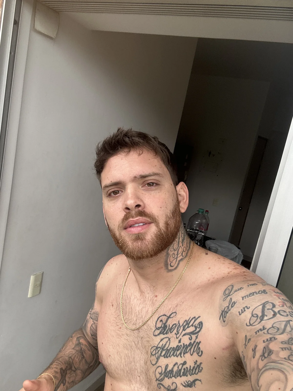 arnold_bekam popularna fotka 7777