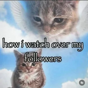 Awawrin stolen jpegs bin  5. fénykép