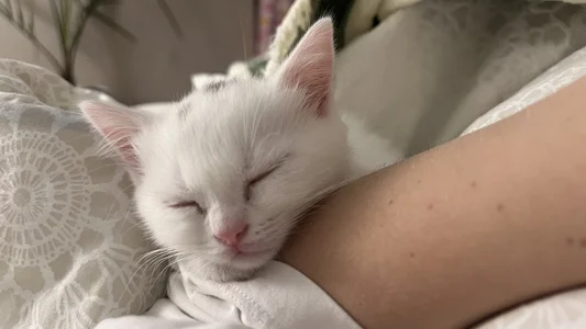 Zdjęcia cClandesTina Public:  6