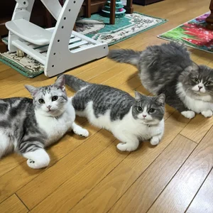 Zdjęcia chan_moja1919 Public: 