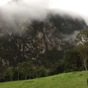 AshleyandCleo Nature Kuva 9