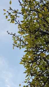 your_new_boyfriend1 nature 사진 5