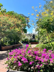 LiamNovak Walking through Colombia Εικόνα 8