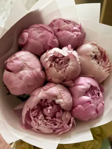 GentleRossi My 24th birthday! Immagine 