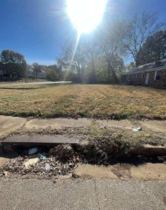 TinyBlazian901 My Project รูป  2