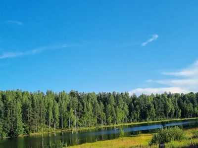 Reed_Fox's a trip to the festival🏕️ Sex Photo 6