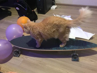 Tiger od Yumi_Youkai  5 snímek