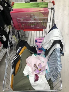 EvaDiamondXX Step 1 of the donation - Shopping Pic