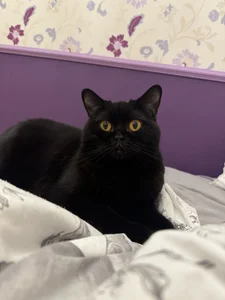 JuicyHelenX my friends صورة واحدة|JuicyHelenX my friends صورتان|JuicyHelenX my friends  2 صور|JuicyHelenX my friends  2 صورة