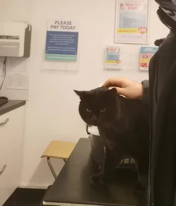 theSmallest-dick Animals Pic 5