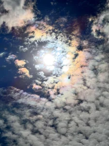 AlexFH kullanıcısının It's just a beautiful selection, because where else will you see it besides my account? albümü -  fotoğraf