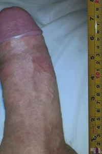 walper Fat cock Bilde 3