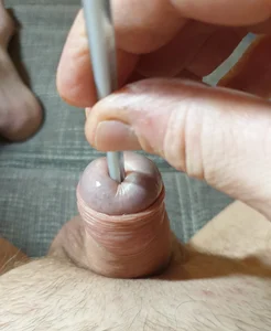 pullerwichsi Pullerchen Hình