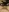 bconnell's photo