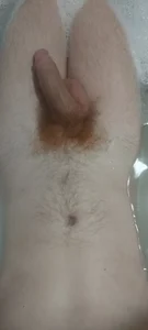 bodrika Public Foto 5