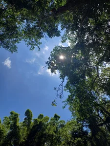 NayadeのPublicの 2枚の写真