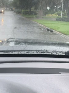 mikeylong Public Immagine  2