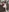 BonnyundClyde19's photo