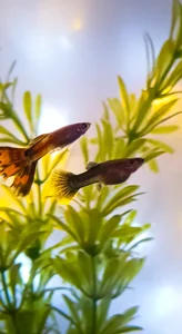 anaroman01 A house full of life and love ❤️ รูป  8