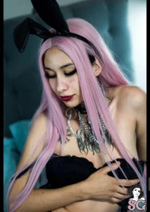 codekitten Public Hình 9