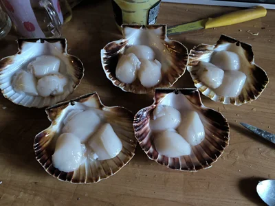 Unusual_places23 Public Foto 4