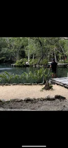 Public de OsvaldOo8  4 Imagens